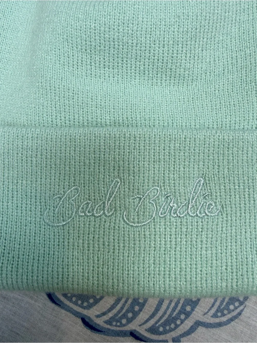 Bad Birdie Script Beanie Mint Green Cuffed Knit Hat BBH115-503-028 NEW